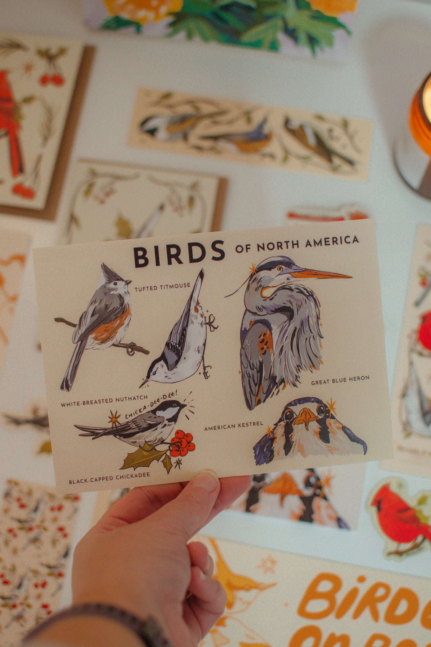 Bird Postcard | Birds of North America 5x7 Design