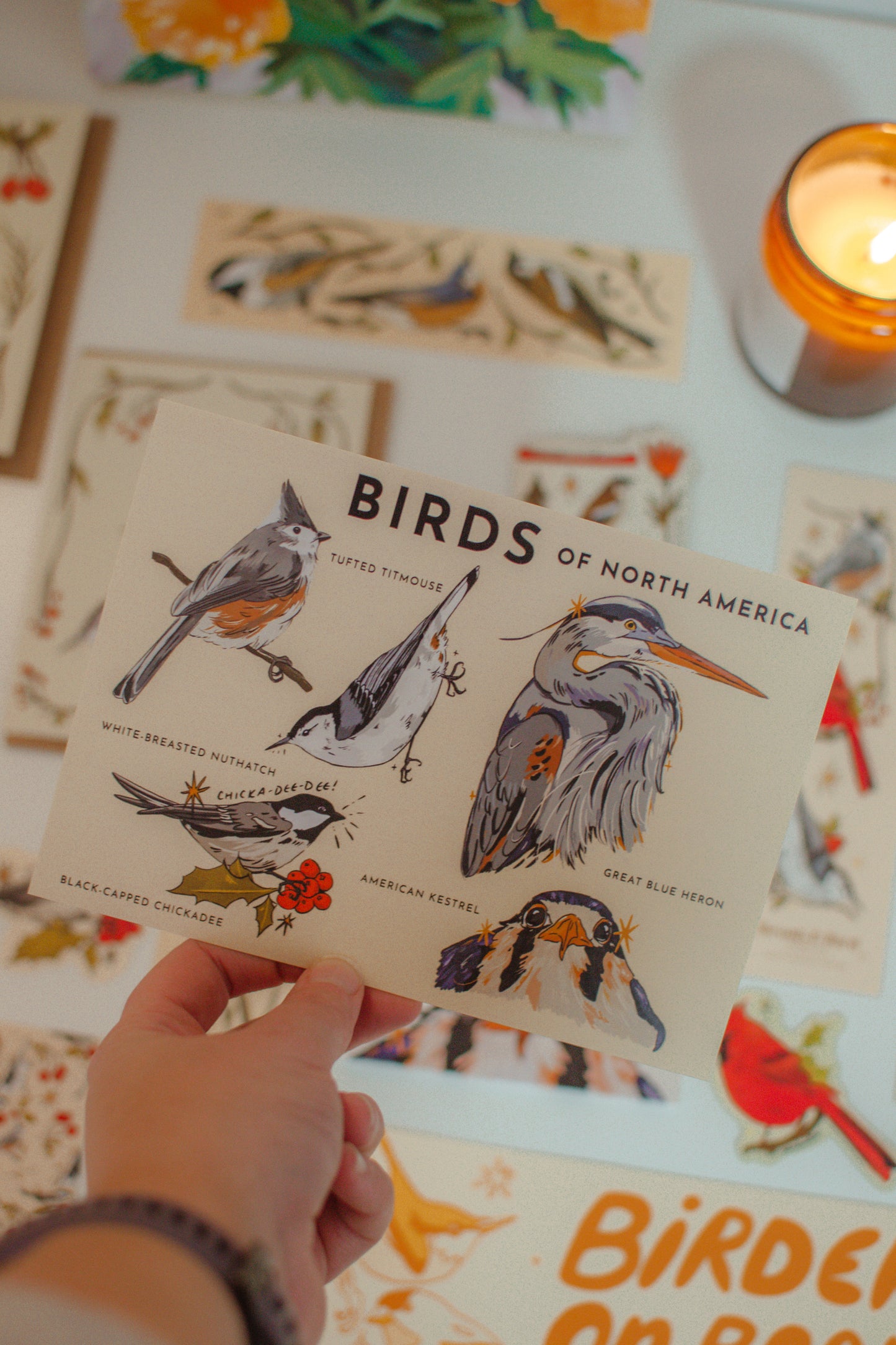 Bird Postcard | Birds of North America 5x7 Design