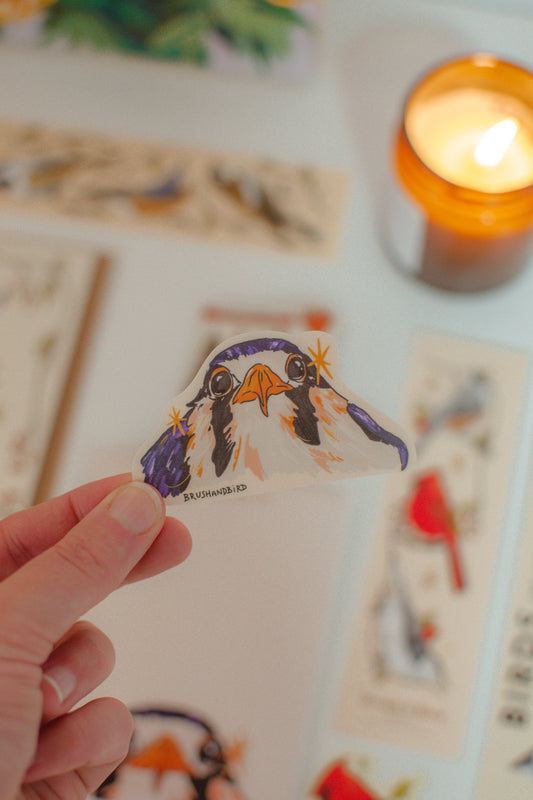 Baby Kestrel Sticker | Bird Lover Waterproof Vinyl Die Cut