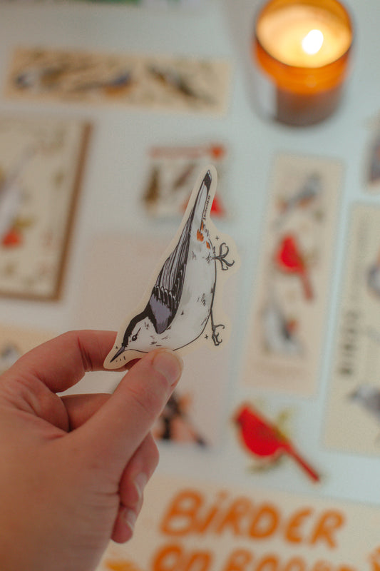 White Breasted Nuthatch Sticker | Bird Lover Waterproof Vinyl Die Cut