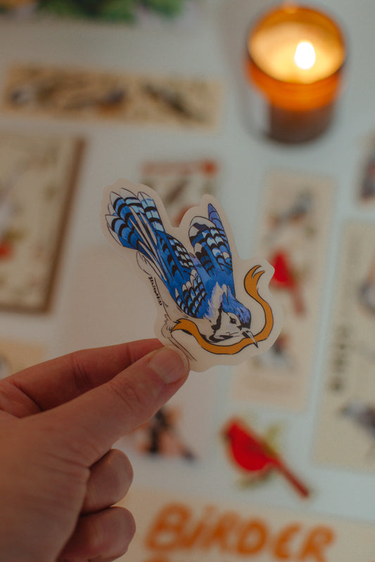 Blue Jay Sticker | Flying Bird with Ribbon Vinyl Sticker | Bird Lover Gift