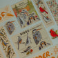 Bird Lover Bundle | Christmas Gift Bundled Set
