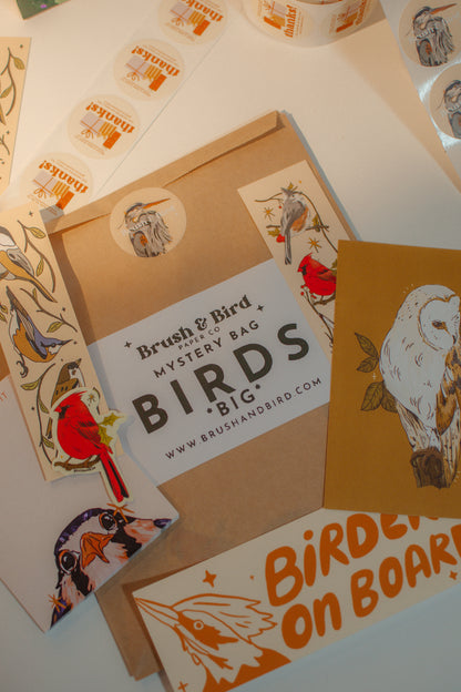 Mystery Bags | Stickers, Prints, Bookmarks, and More!