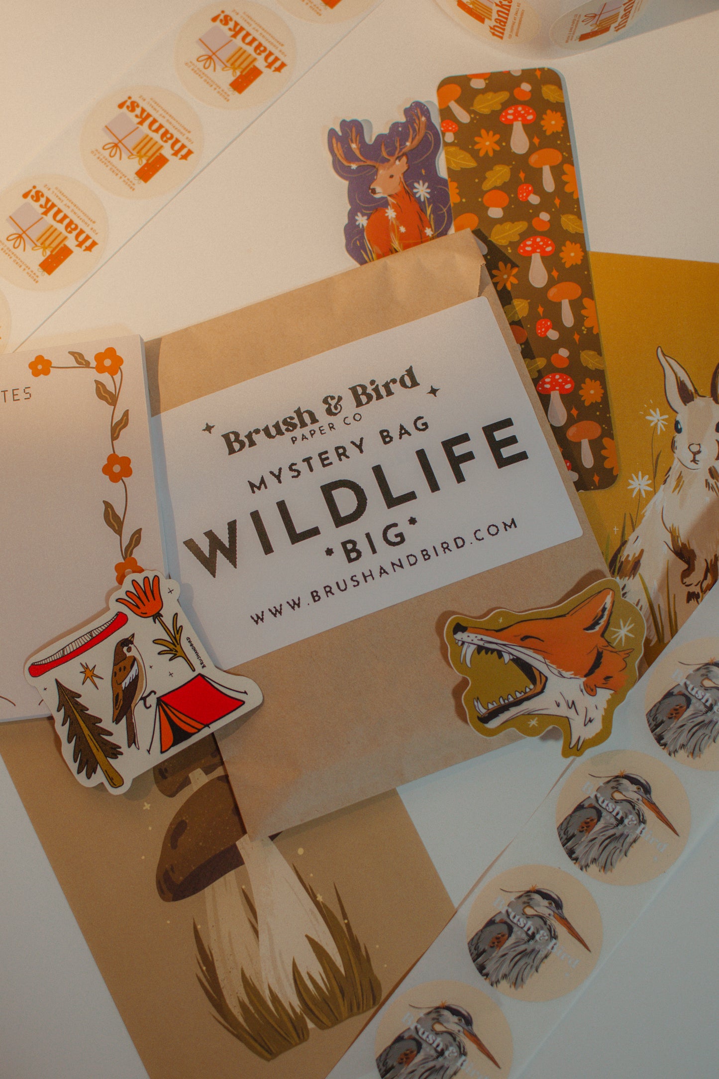 Mystery Bags | Stickers, Prints, Bookmarks, and More!