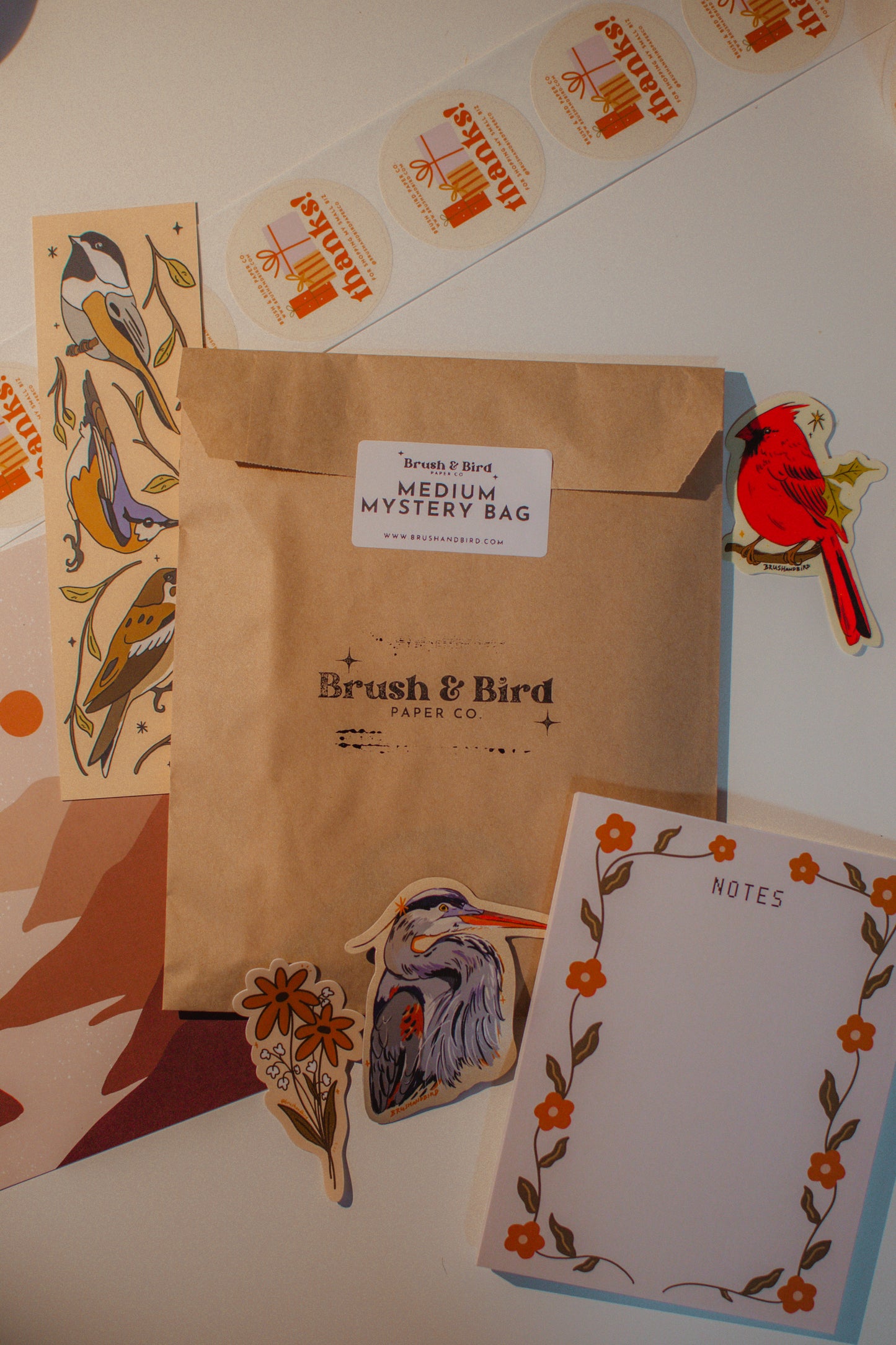 Mystery Bags | Stickers, Prints, Bookmarks, and More!