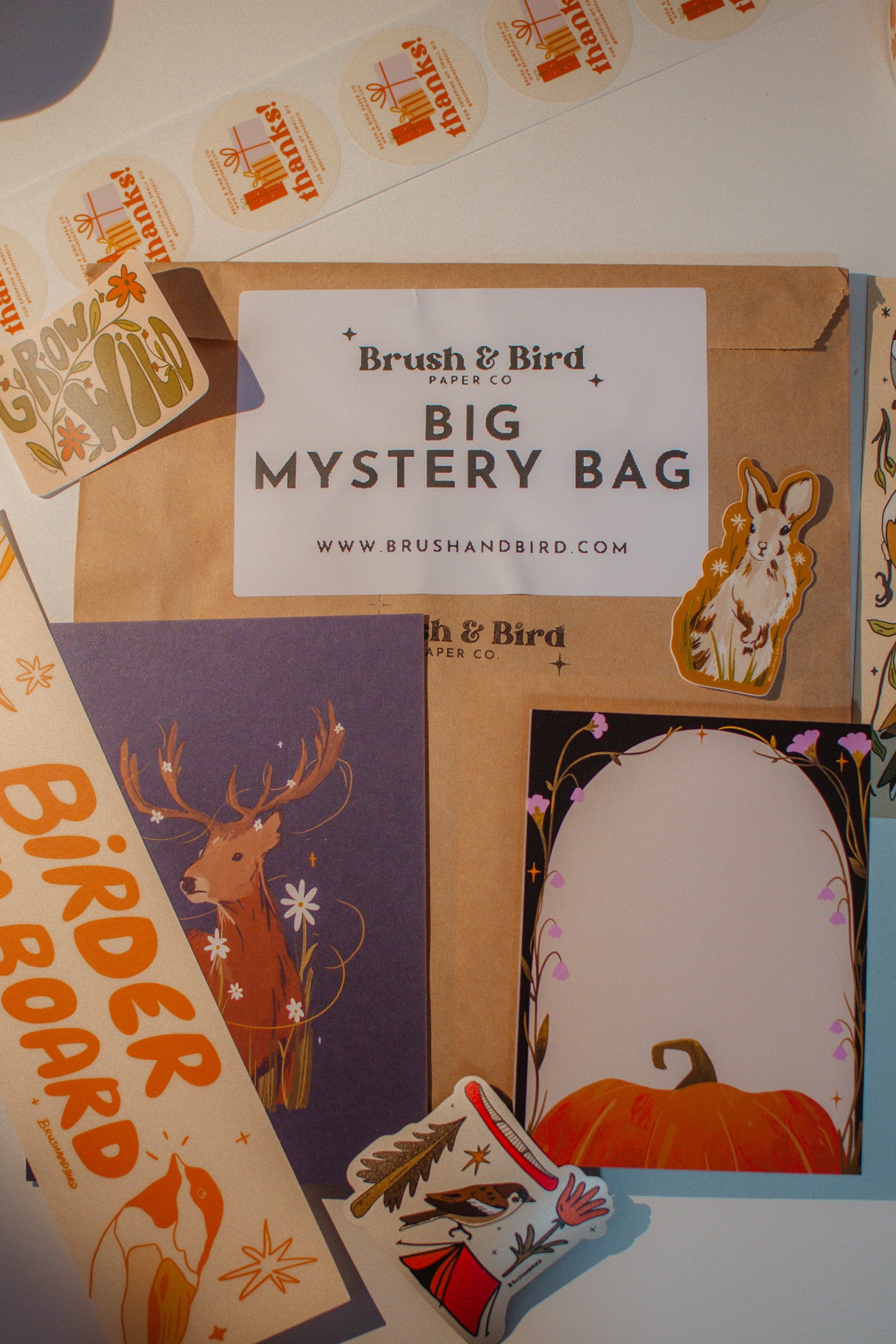 Mystery Bags | Stickers, Prints, Bookmarks, and More!
