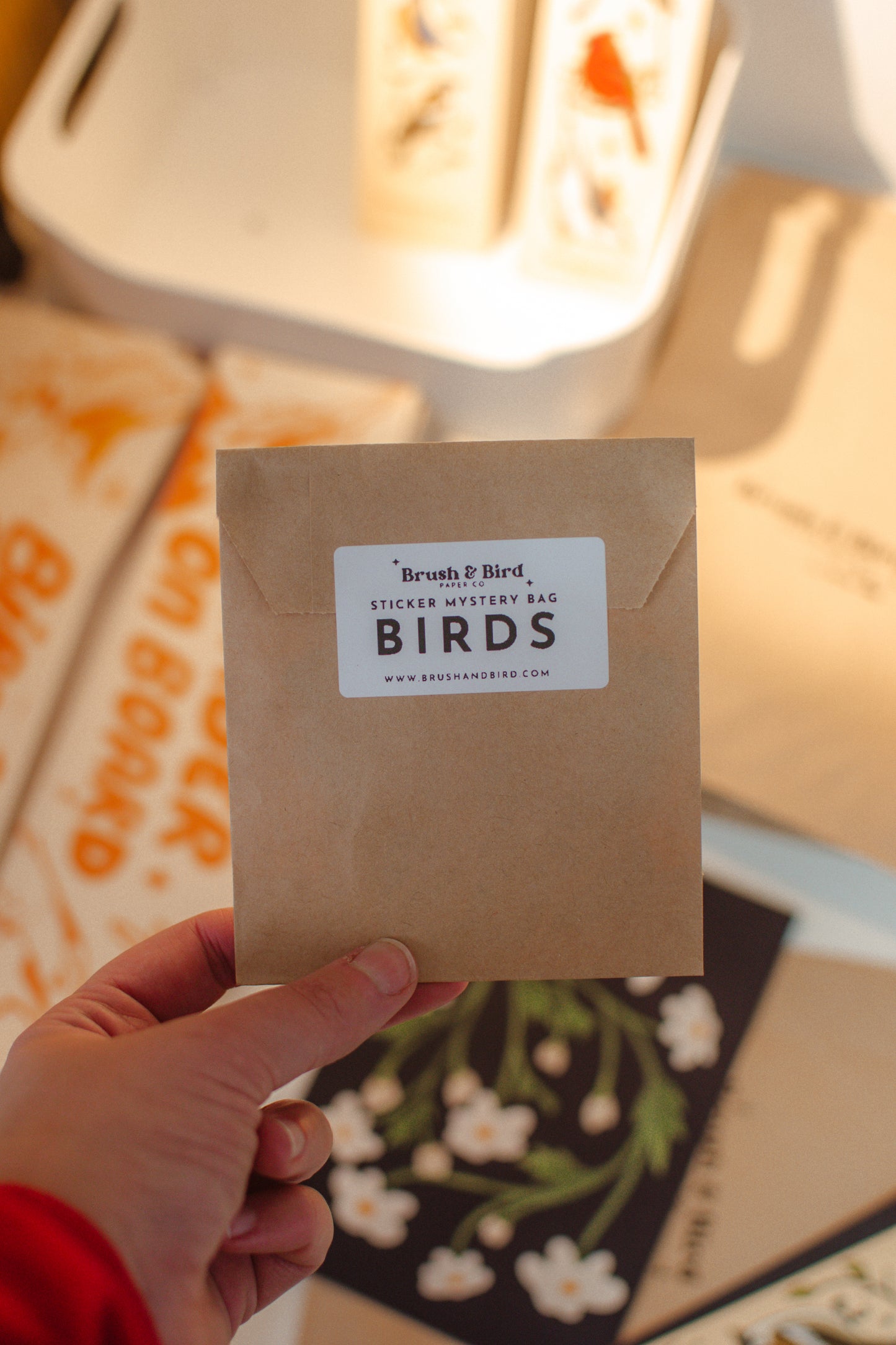 Mystery Bags | Stickers, Prints, Bookmarks, and More!