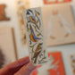 Backyard Birds Sticker | Three Canadian Birds Vinyl Sticker