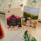 Mountain Meadow Flowers Sticker | Illustrated Vinyl Diecut Sticker