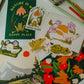 Spring Frog Sticker | Garden Toad | Vinyl Die Cut Sticker