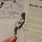 Monthly Snail Mail (Pre-Order)