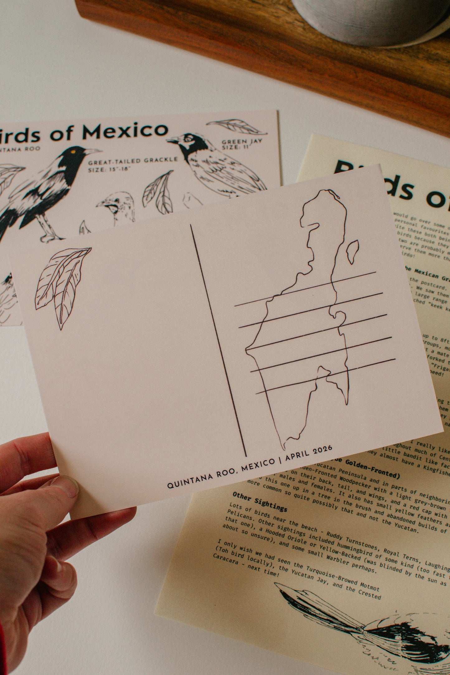 Monthly Snail Mail (Pre-Order)