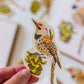Northern Flicker Sticker | Woodpecker Illustration Vinyl Decal