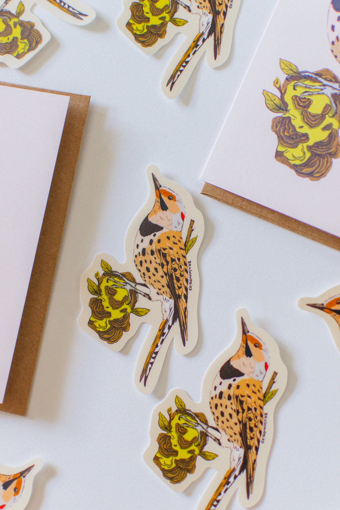 Northern Flicker Sticker | Woodpecker Illustration Vinyl Decal