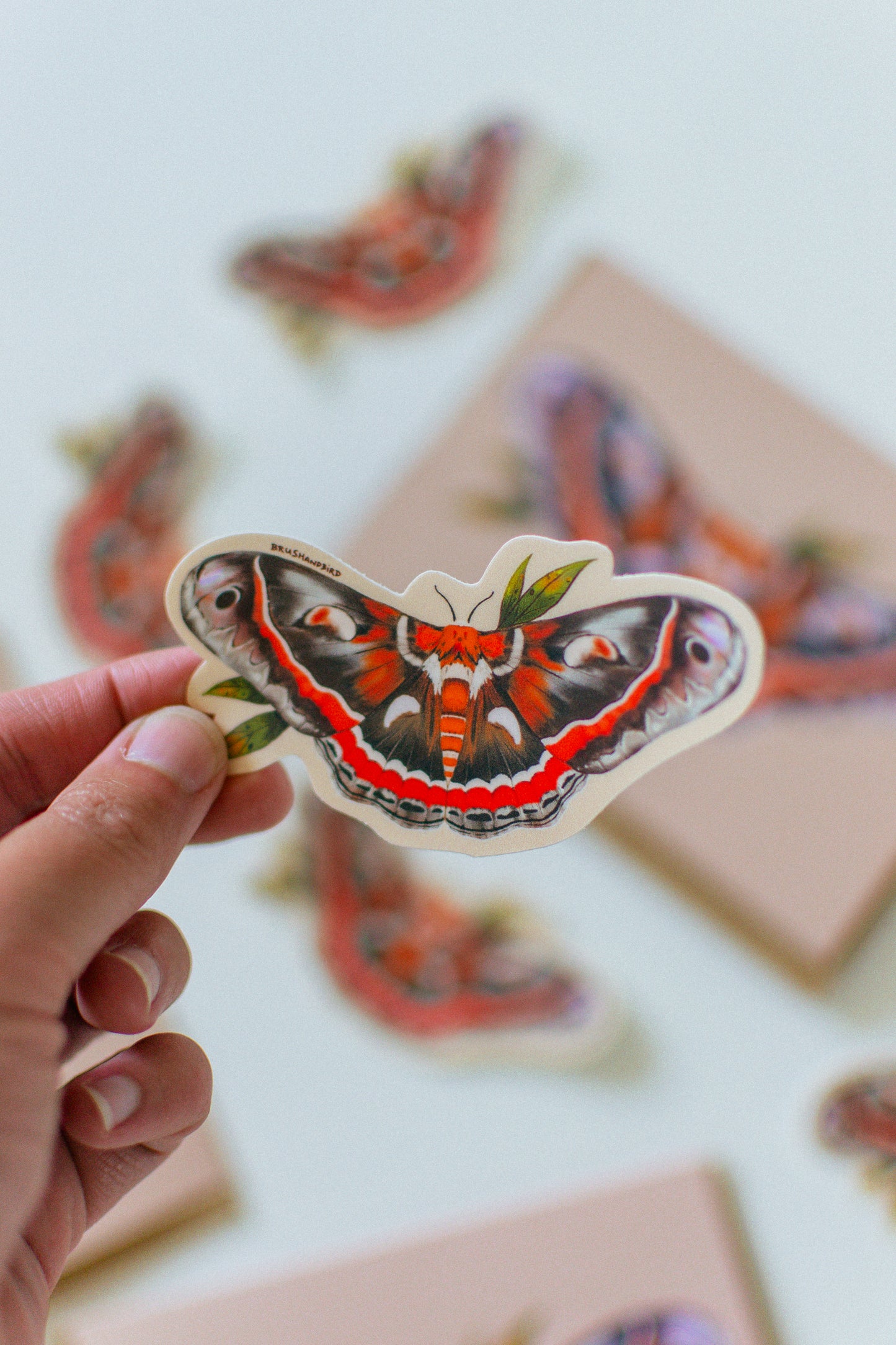 Cecropia Moth Vinyl Sticker | Nature Lover Gift