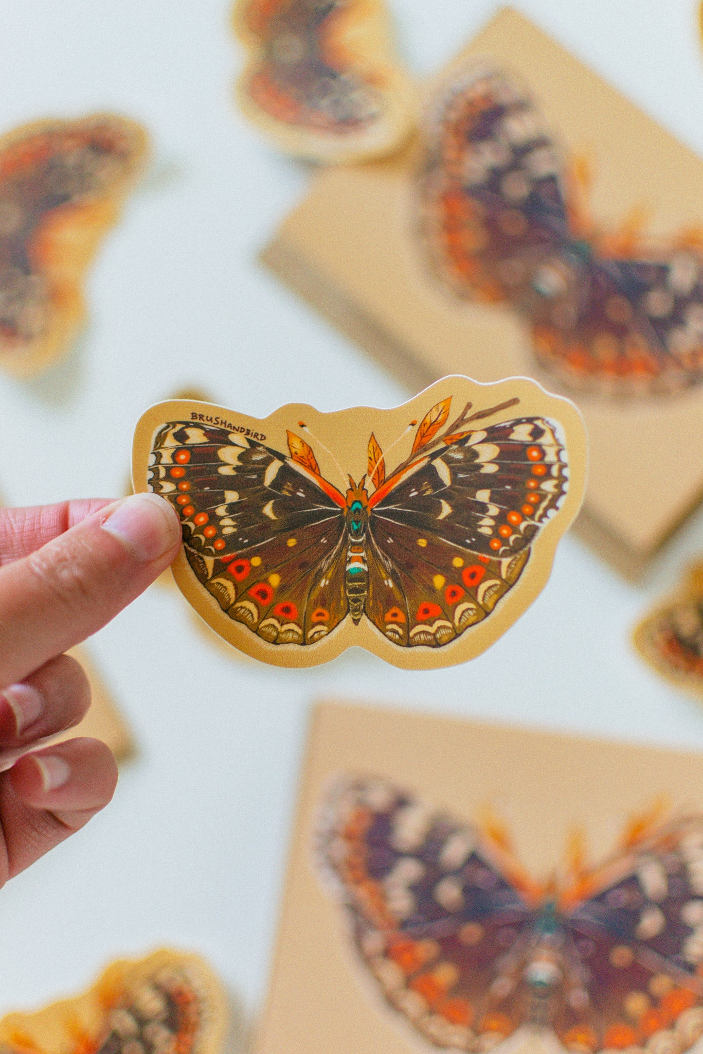 Field Crescent Butterfly Vinyl Sticker | Nature Lover Gift
