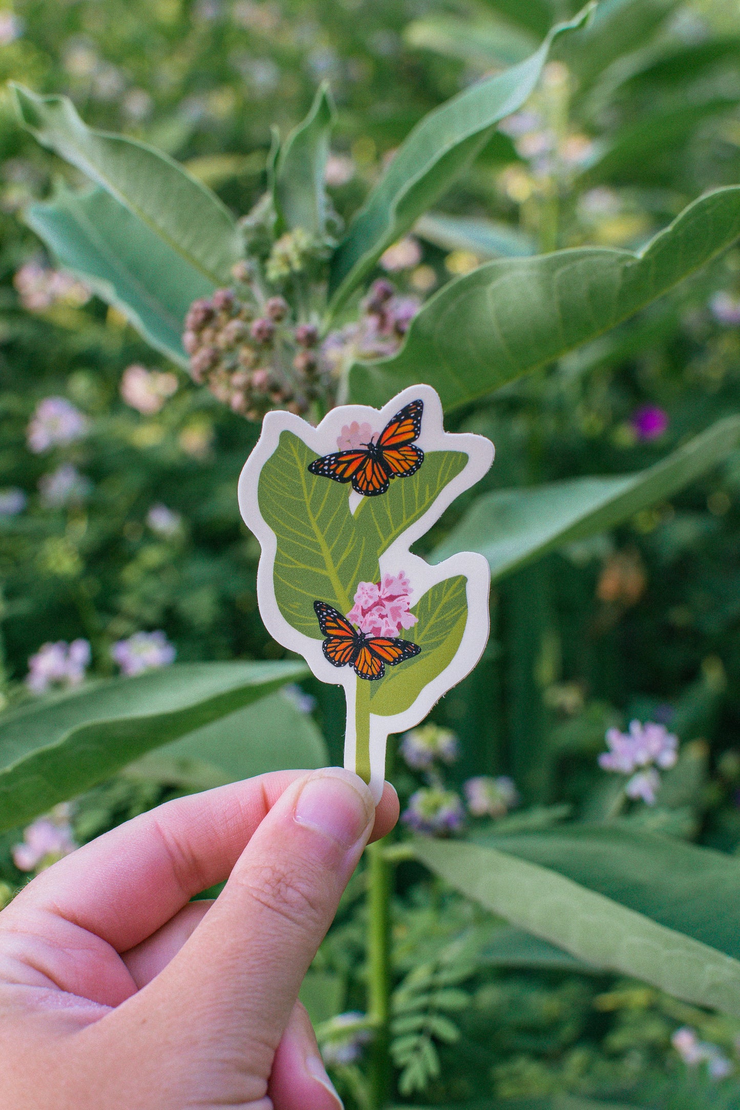 Monarch Butterfly and Milkweed Sticker | Pollinator Waterproof Vinyl Sticker