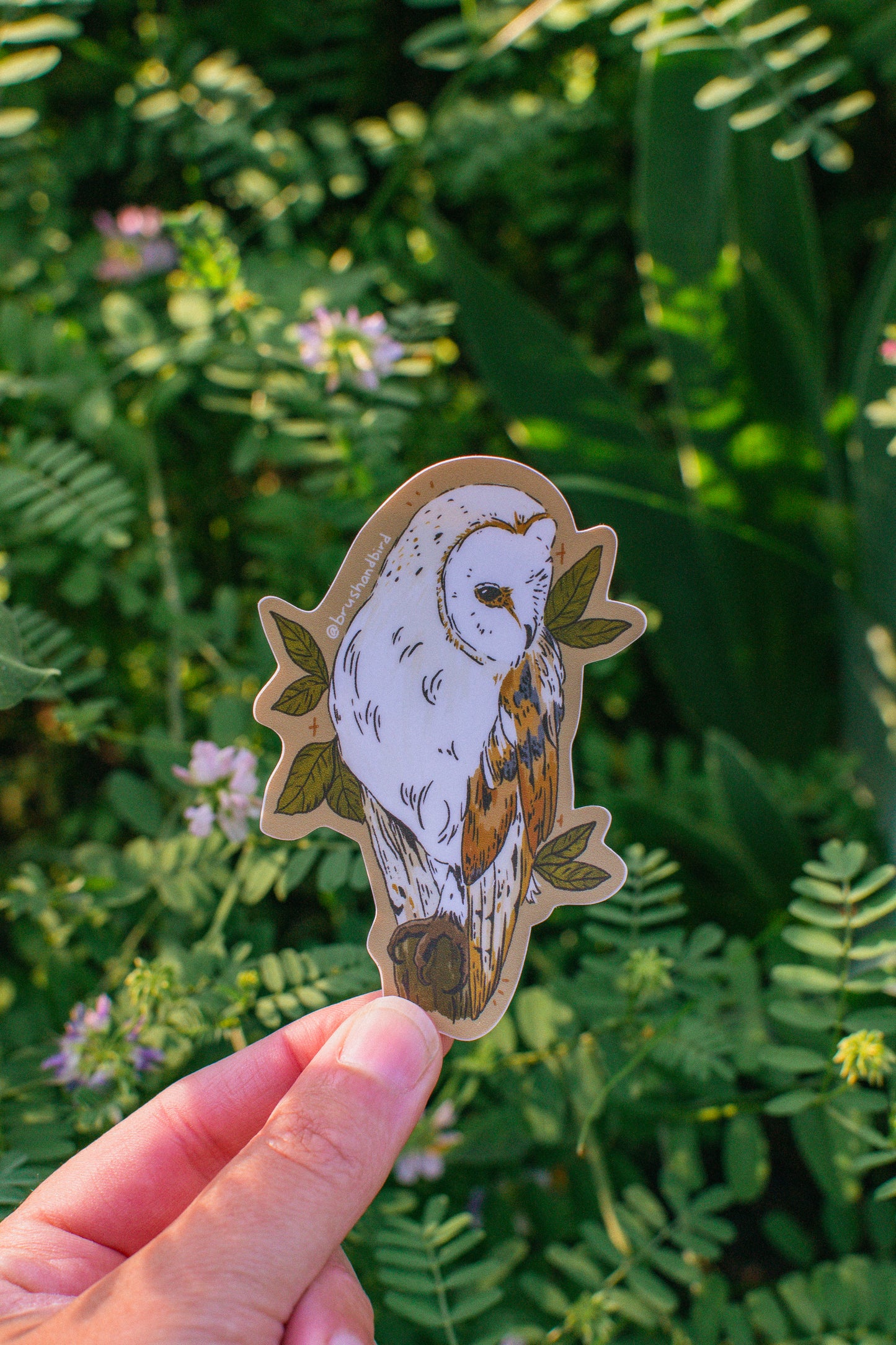 Barn Owl Sticker | Canadian Wildlife Vinyl Waterproof Sticker