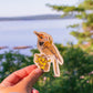 Northern Flicker Sticker | Woodpecker Illustration Vinyl Decal
