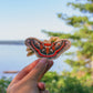 Cecropia Moth Vinyl Sticker | Nature Lover Gift