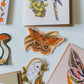 A collection of illustrated stickers and art prints featuring nature motifs, including a butterfly, owl, moth, mushroom, and floral designs, arranged on a light blue surface.