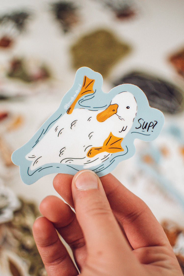 Sup Duck Sticker | Funny Duck Vinyl Sticker