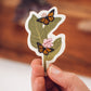 Monarch Butterfly and Milkweed Sticker | Pollinator Waterproof Vinyl Sticker