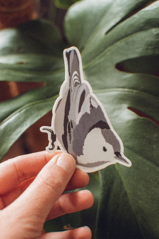 Nuthatch Sticker | White Breasted Nuthatch | Cute Bird Sticker