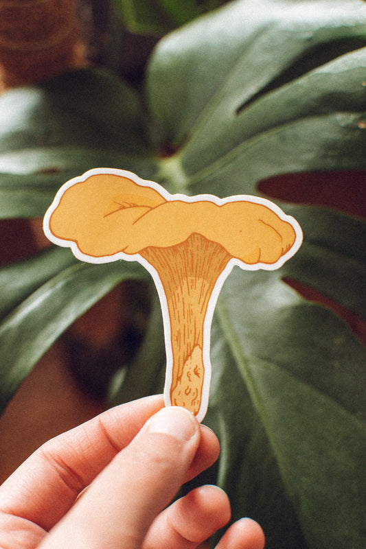 Golden Chanterelle Mushroom Sticker | Cottagecore Vinyl Sticker