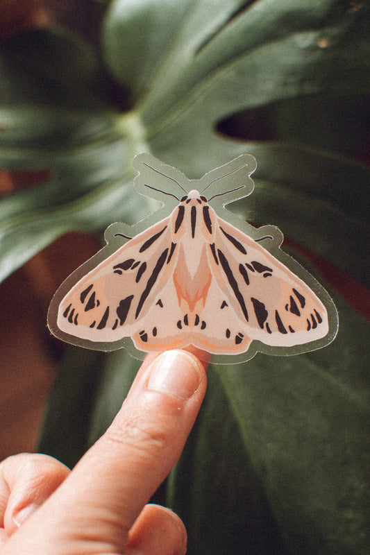 Pink Tiger Moth Sticker | Butterfly Vinyl Sticker