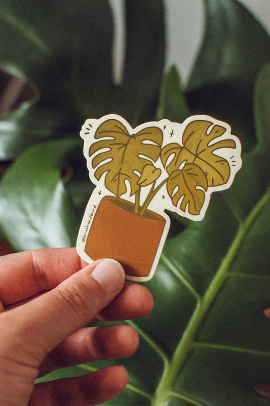 Monstera Deliciosa Sticker | Waterproof Vinyl Plant Lover Sticker