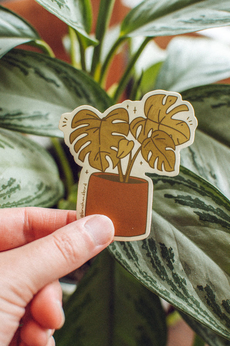 Monstera Deliciosa Sticker | Waterproof Vinyl Plant Lover Sticker