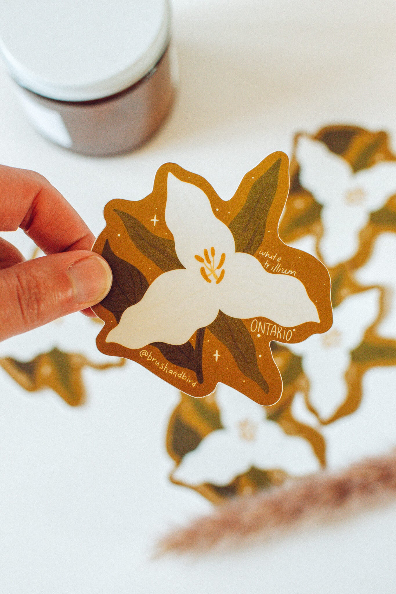 Ontario Sticker | Provincial Flower Series