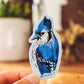 Blue Jay Sticker | Ontario Backyard Birds | Cute Bird Sticker