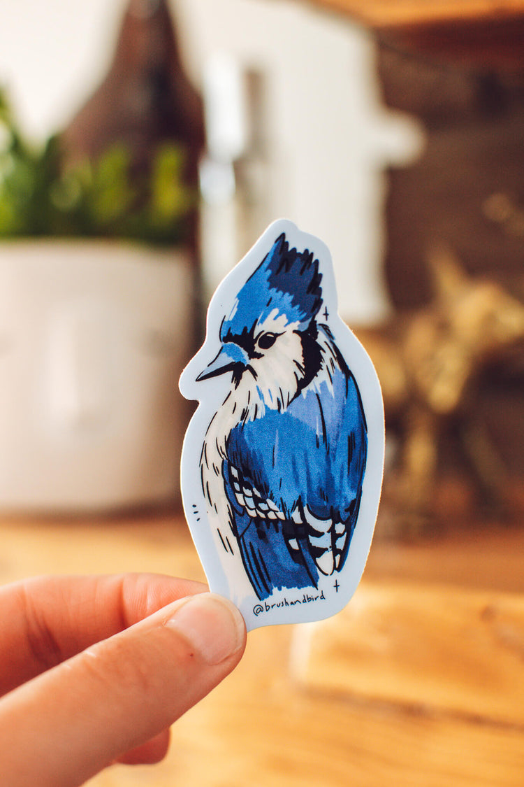 Blue Jay Sticker | Ontario Backyard Birds | Cute Bird Sticker