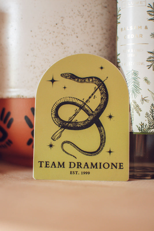 Team Dramione Sticker | Harry Potter Fanfiction Vinyl Sticker