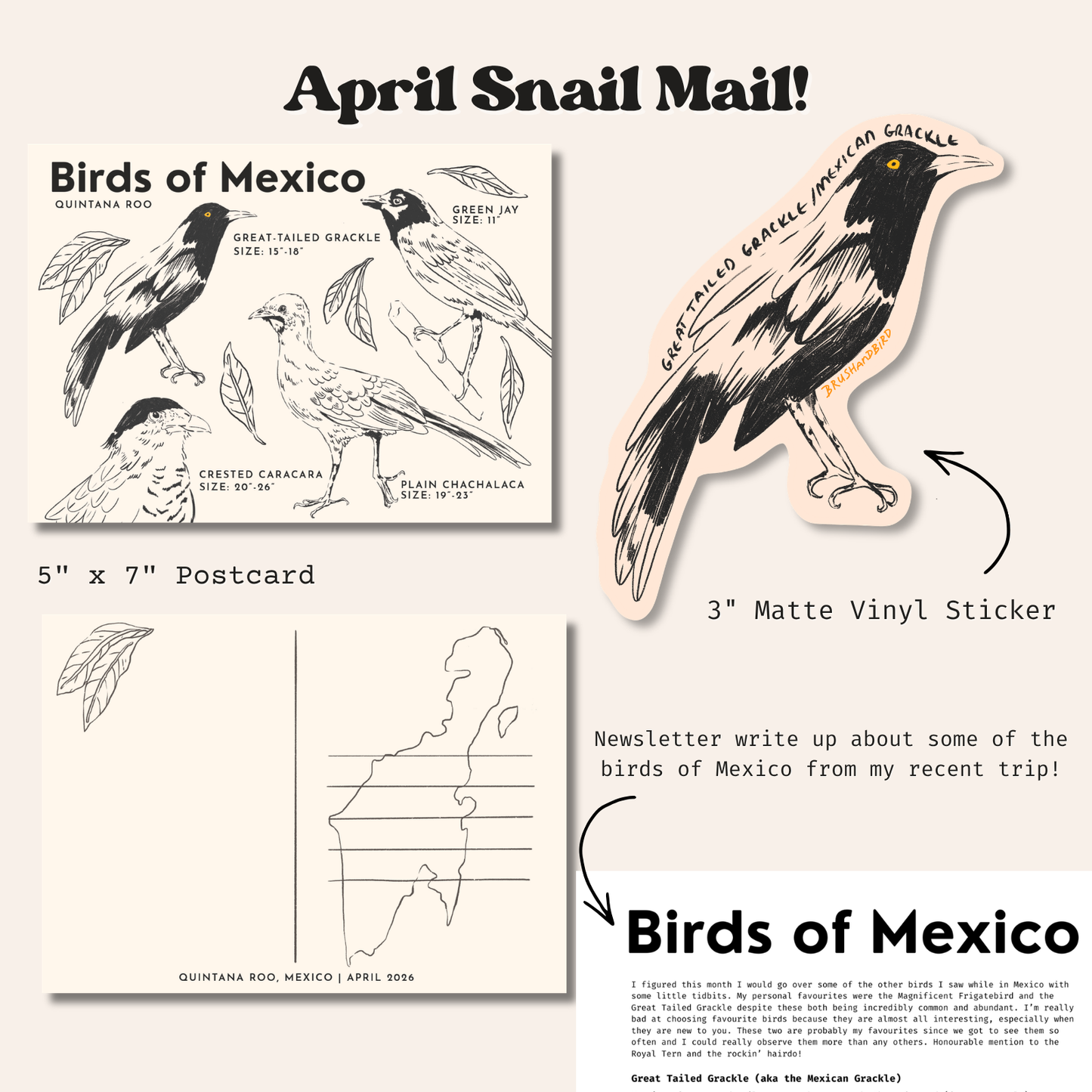 Monthly Snail Mail (Pre-Order)