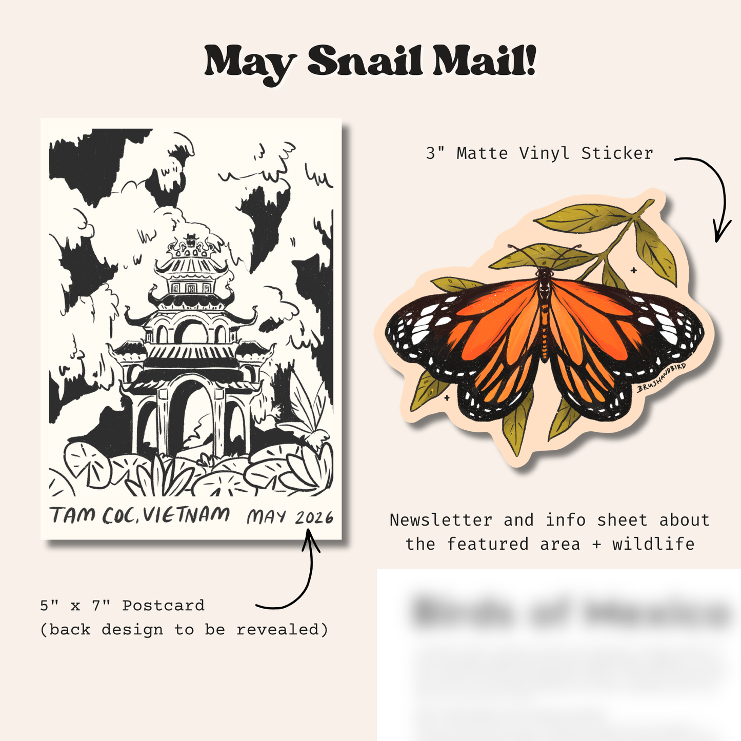 Monthly Snail Mail (Pre-Order)
