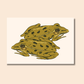 Northern Leopard Frog Postcard | 4"x6" Illustrated Animal Postcard