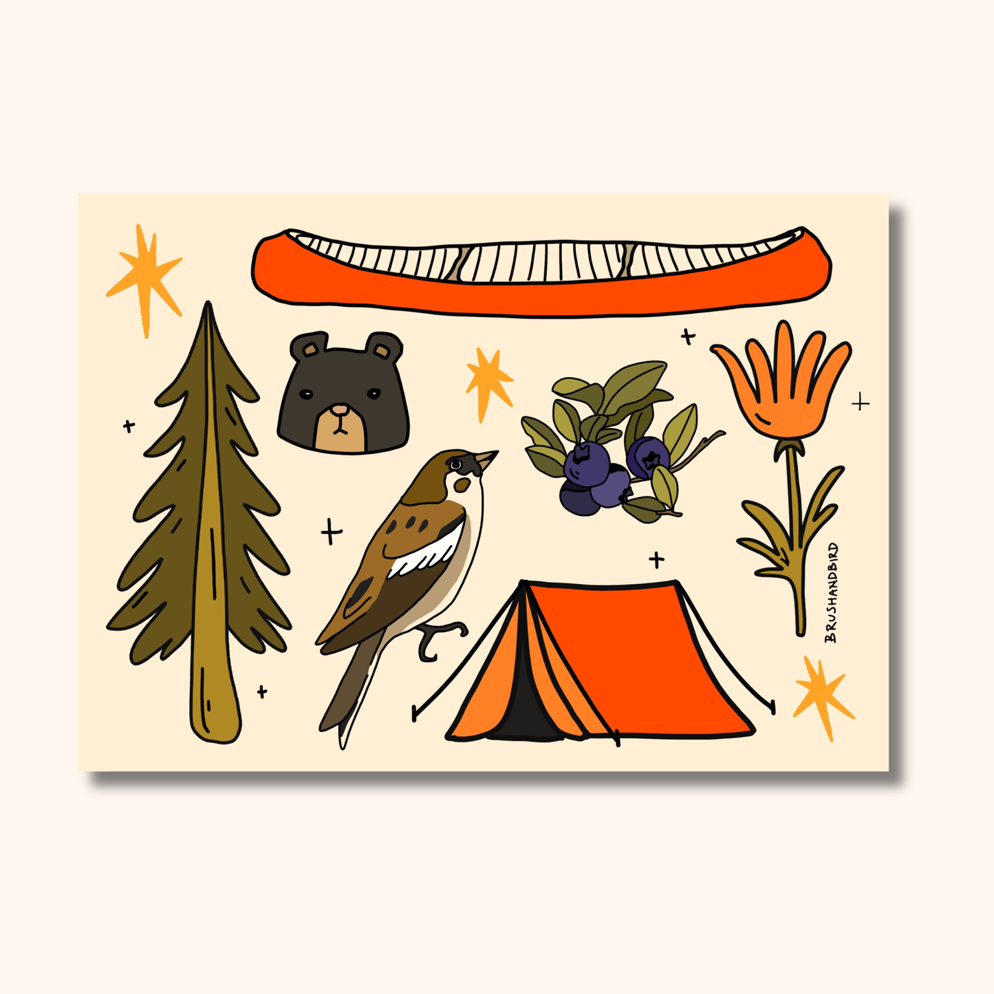 Canadian Wildlife Postcard | Northern Ontario Collection