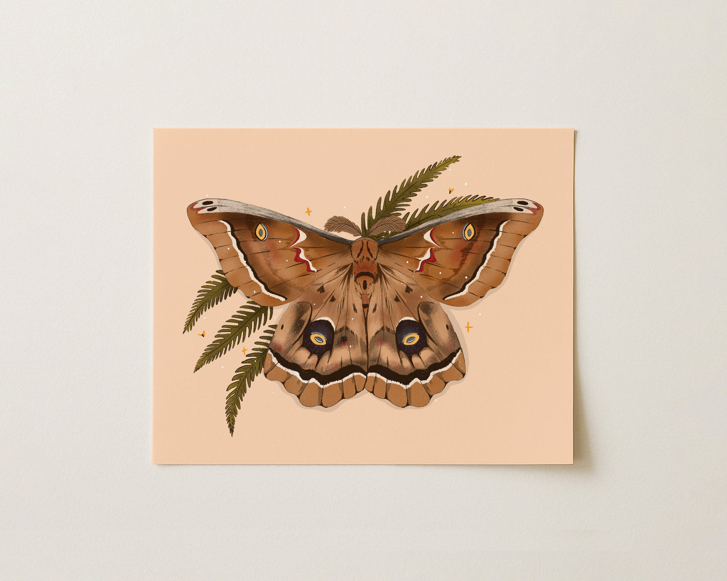 Polyphemus Moth Art Print | 8" x 10" Nature Illustration