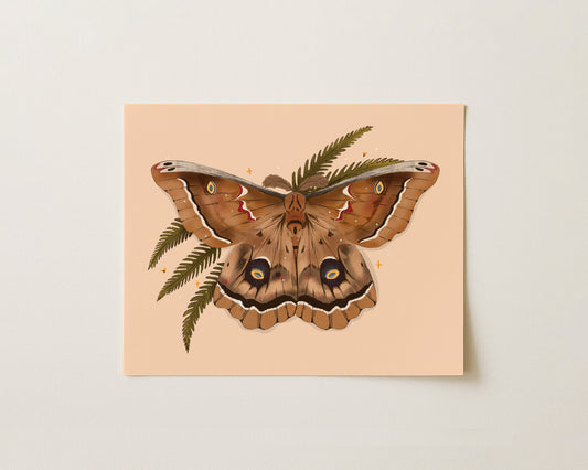 Polyphemus Moth Art Print | 8" x 10" Nature Illustration