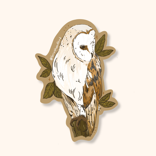 Barn Owl Sticker | Canadian Wildlife Vinyl Waterproof Sticker