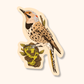 Northern Flicker Sticker | Woodpecker Illustration Vinyl Decal