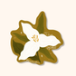 Ontario Trillium Sticker | Ontario Flower Vinyl Decal