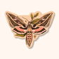 White-Lined Sphinx Moth Sticker | Nature Lover Gift