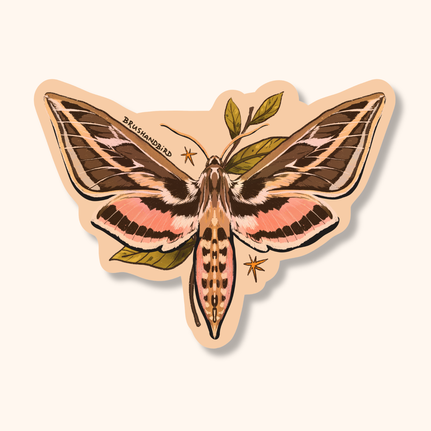 White-Lined Sphinx Moth Sticker | Nature Lover Gift