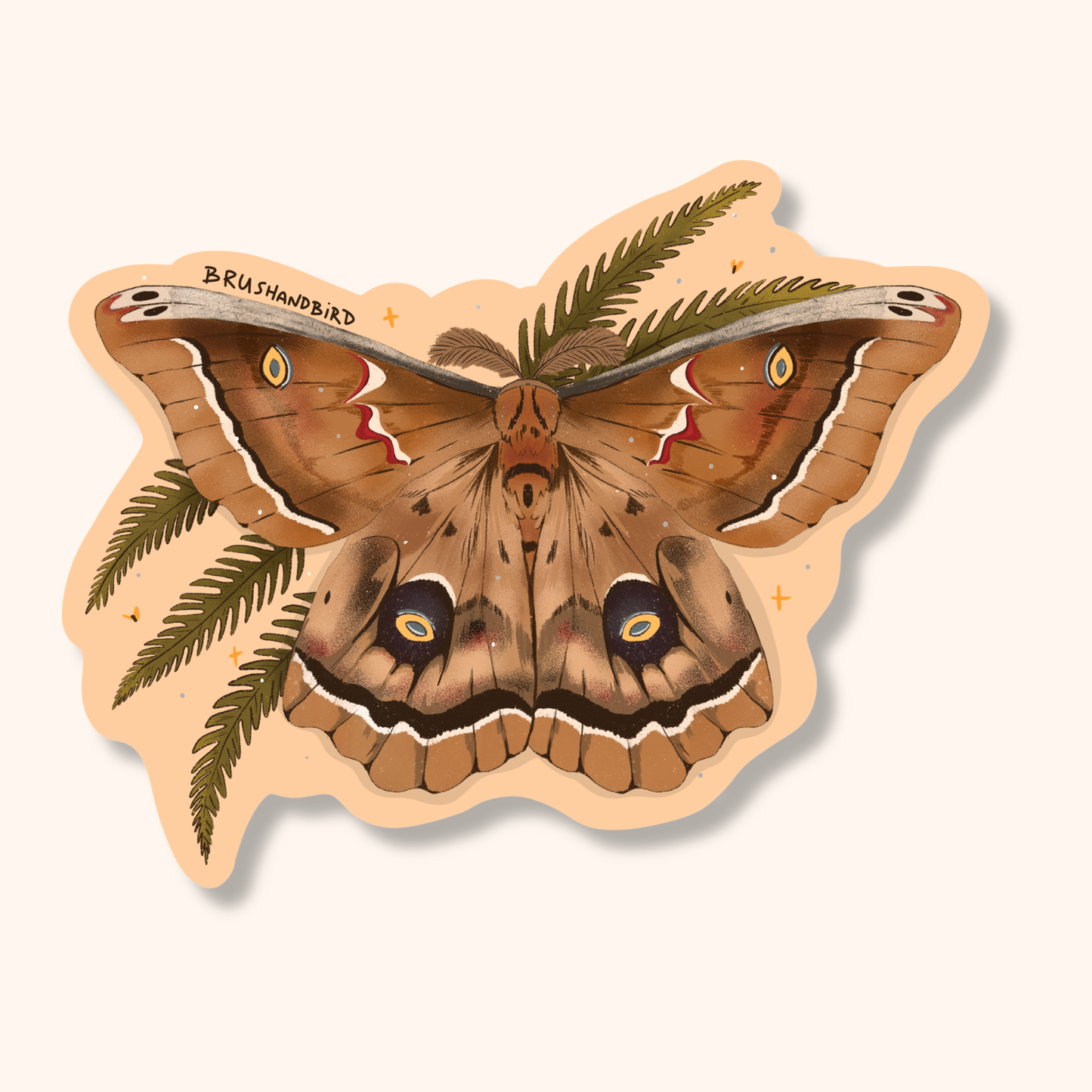 Polyphemus Moth Vinyl Sticker | Nature Lover Gift