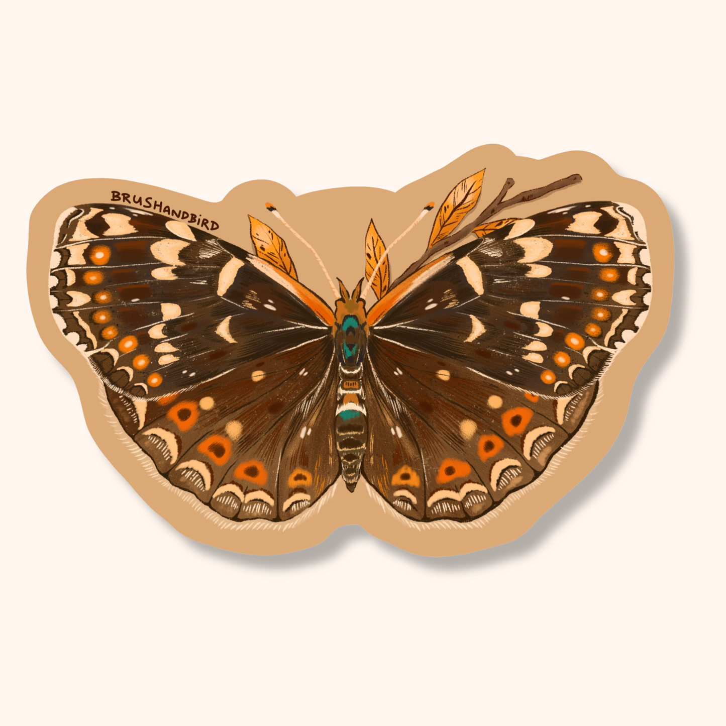 Field Crescent Butterfly Vinyl Sticker | Nature Lover Gift