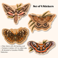 North American Moths Sticker Pack | Set of 4 Waterproof Vinyl Stickers